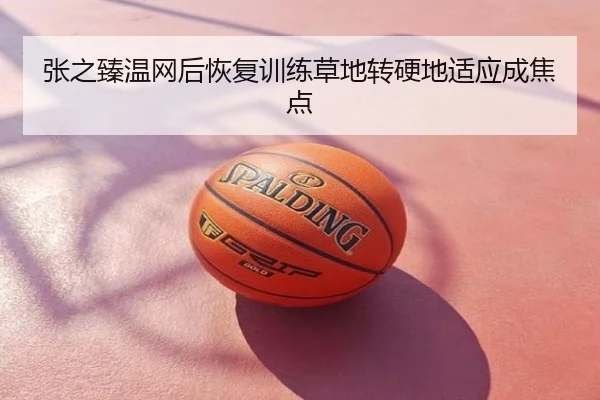 张之臻温网后恢复训练草地转硬地适应成焦点