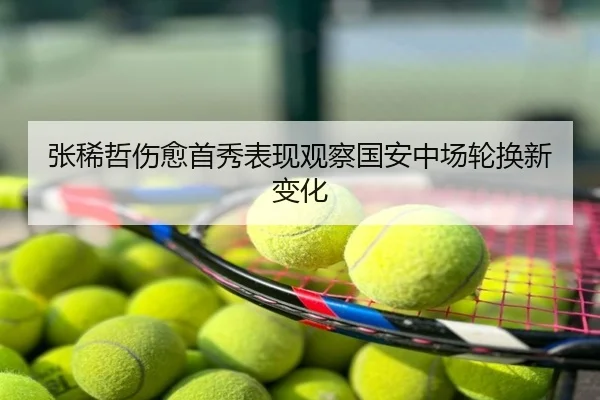 张稀哲伤愈首秀表现观察国安中场轮换新变化