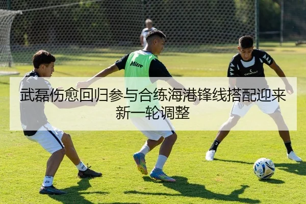 武磊伤愈回归参与合练海港锋线搭配迎来新一轮调整
